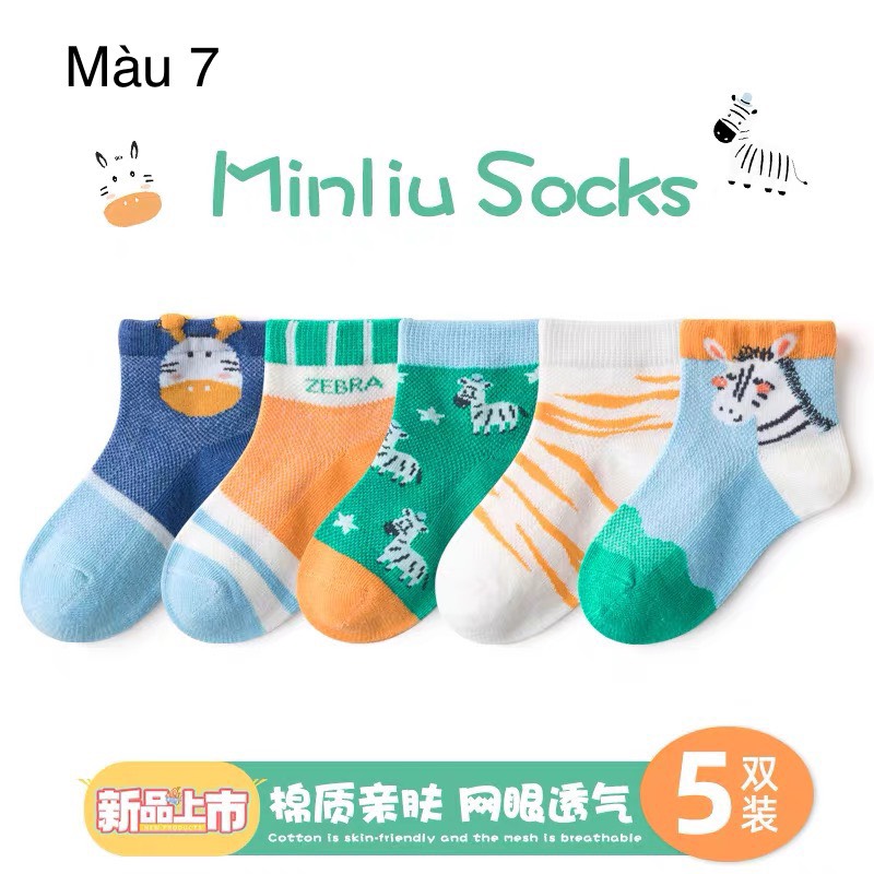 Set 5 tất lưới Minliu Kid Sock BT size 2-12y