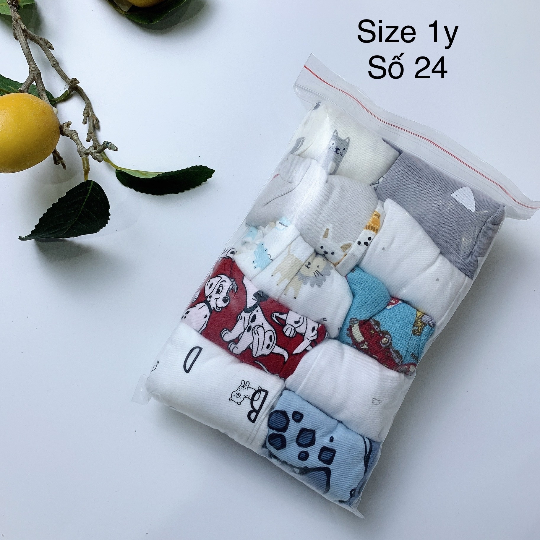 [1y] Quần chục bé trai size 1y - số 13 đến 24