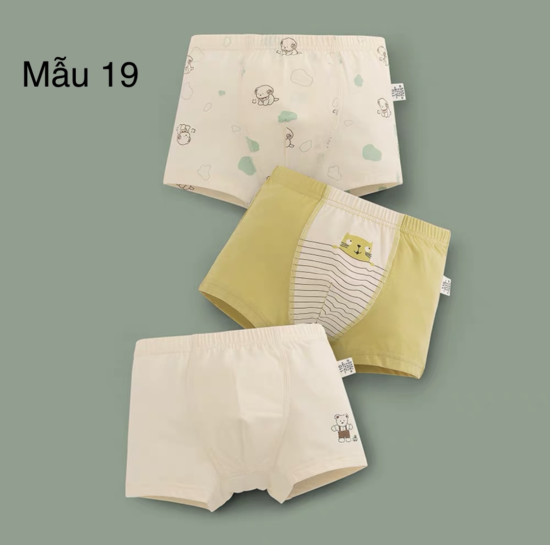 Set 3 sịp đùi cạp nhỏ nhiều mẫu BT size 120 - 160 ( Bảng màu mới )