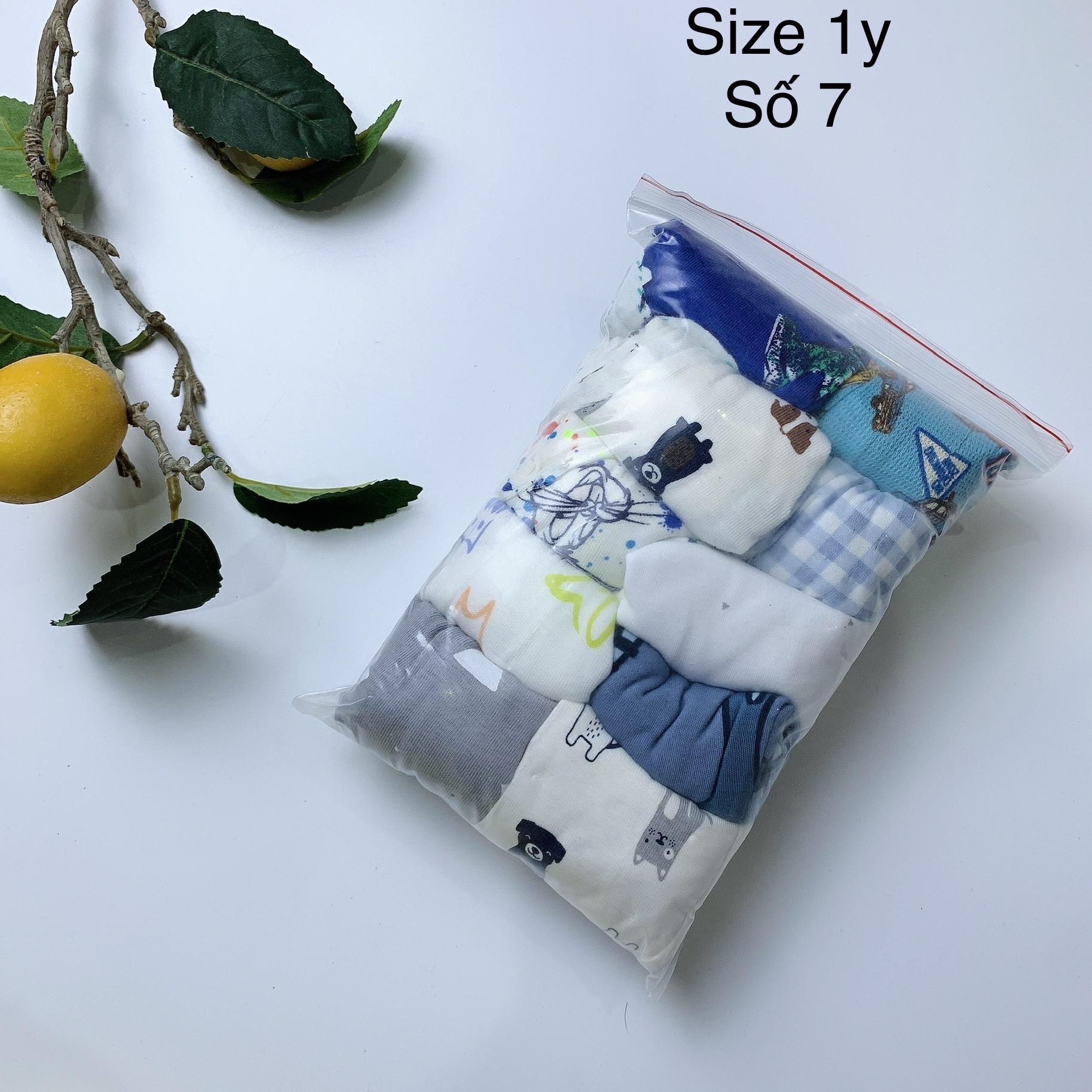 [1y] Quần chục bé trai size 1y (số 1-12)