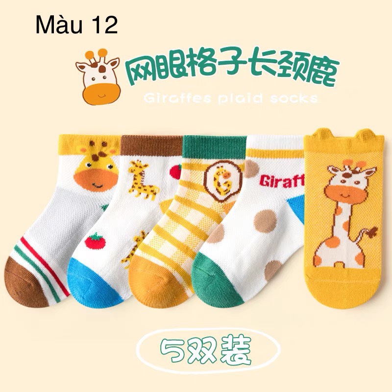 Set 5 tất lưới Minliu Kid Sock BT size 2-12y