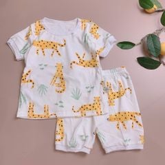 Bộ cotton Moimolpi - trắng hổ