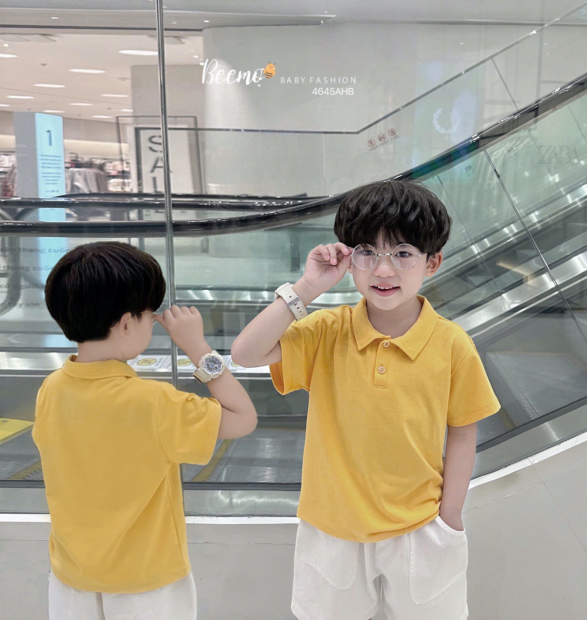 Áo cotton polo cổ đức Beemo trơn nhiều màu cho bé size 80-130