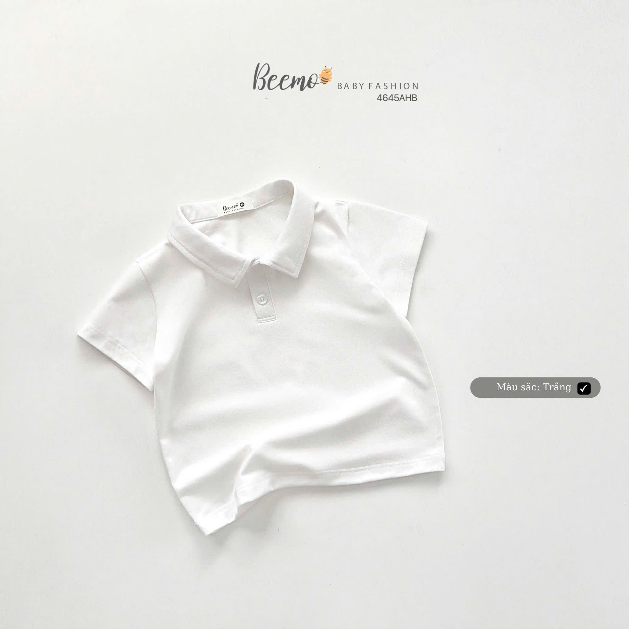 Áo cotton polo cổ đức Beemo trơn nhiều màu cho bé size 80-130