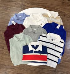 Áo polo cổ đức Babygap dư xịn nhiều màu BT size 1-5y