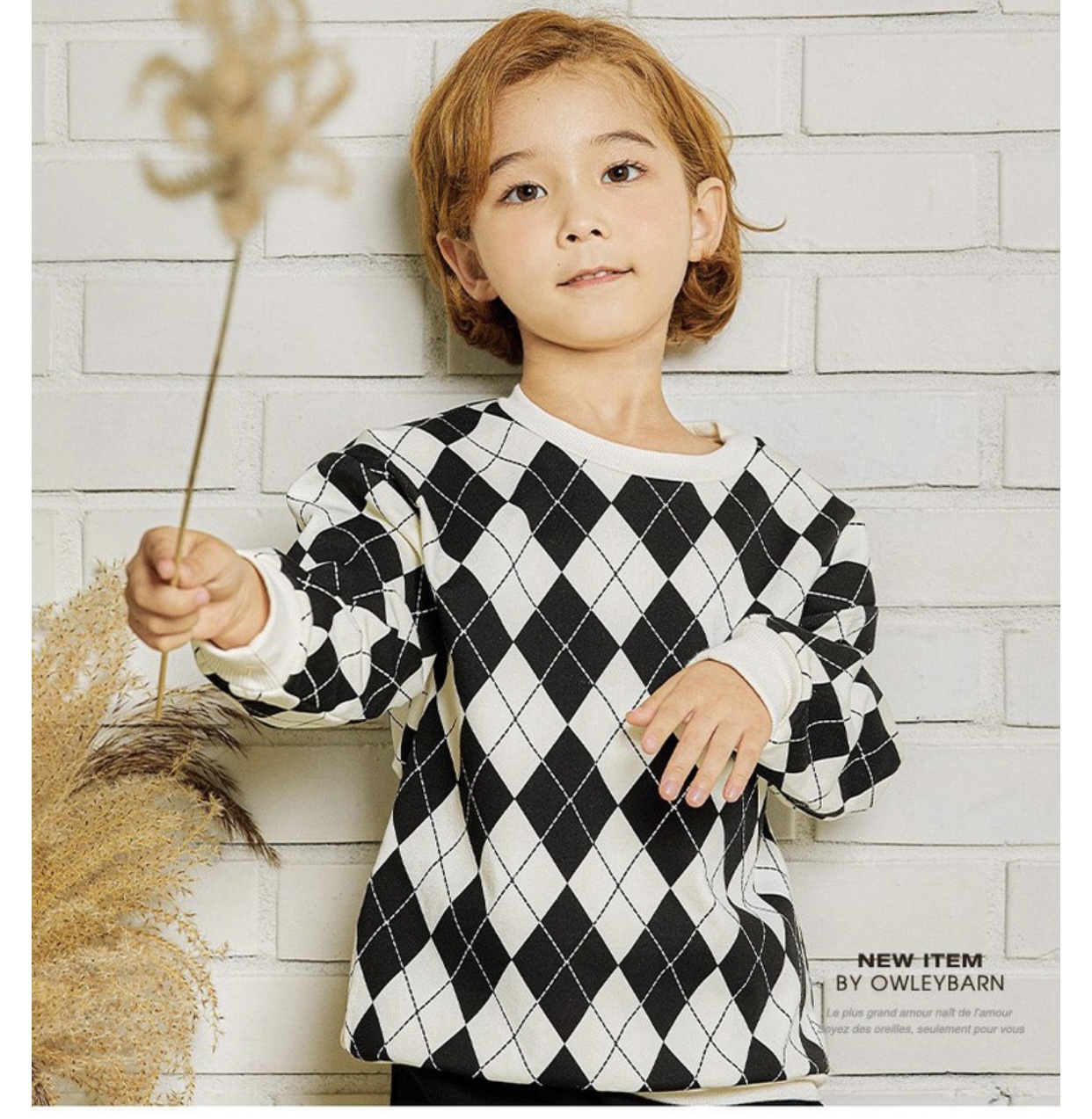 Áo nỉ da cá Owley Barn nhiều mẫu Bé Trai size 110 - 150 ( Bảng màu 2 )