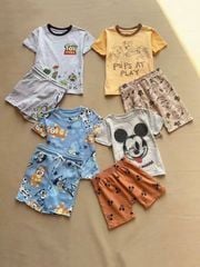 Bộ cotton Paw Patrol, Bluey dư xịn nhiều mẫu cho bé trai size 1-5y