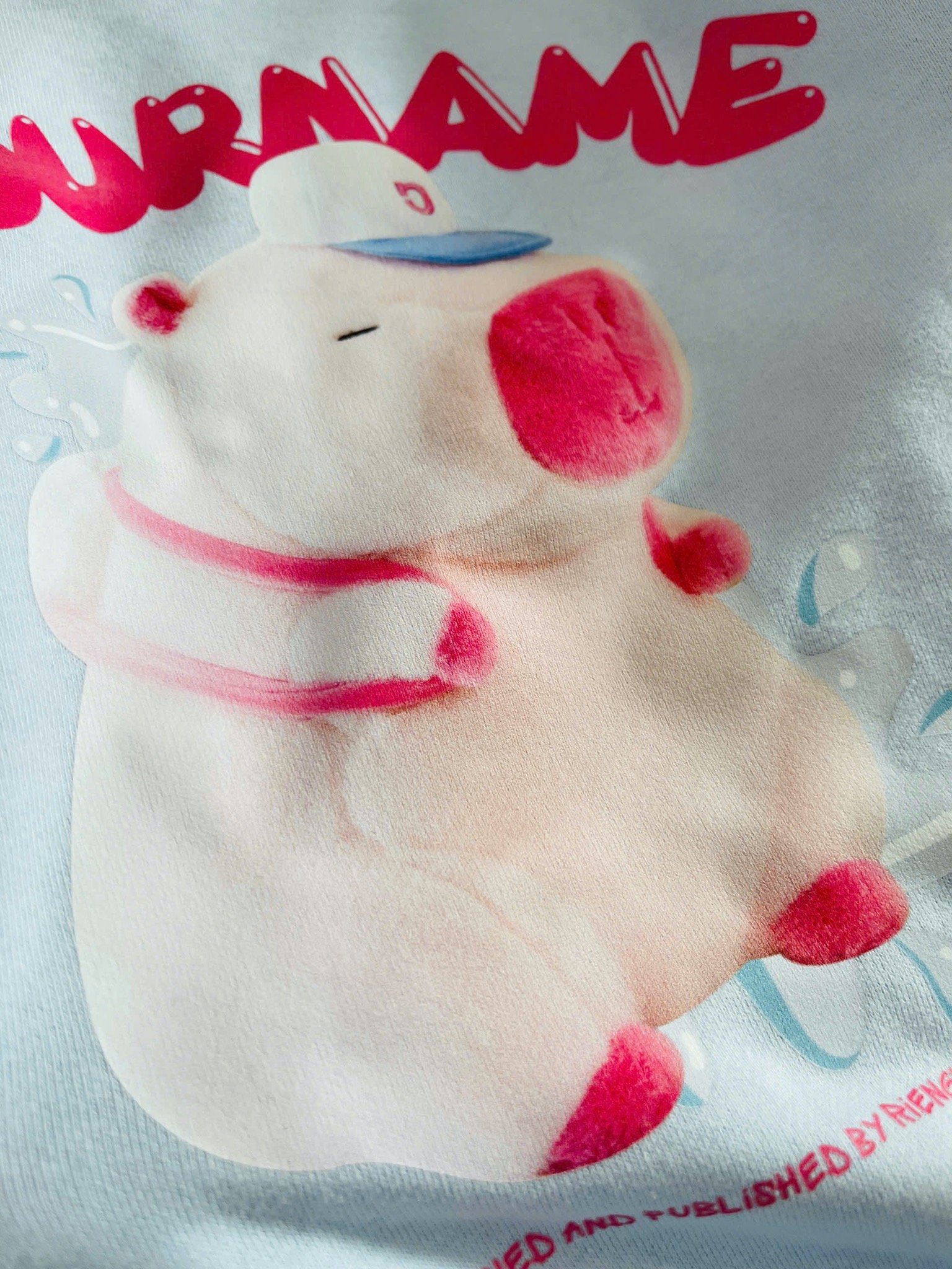 Bộ nỉ da cá HM vải dư hoạ tiết Capybara, Labubu nhiều màu bé gái size 4-14y