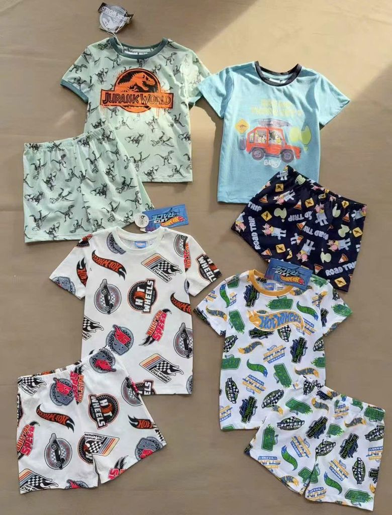 Bộ thun mềm khủng long, Bluey, Hotwheels dư xịn nhiều màu cho bé trai size 1-7y