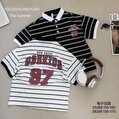 Áo Polo QC cổ đức nhiều mẫu cho bé trai size 130-170