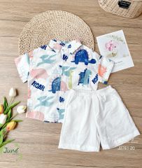 Set bộ June khủng long BT size 1-10y