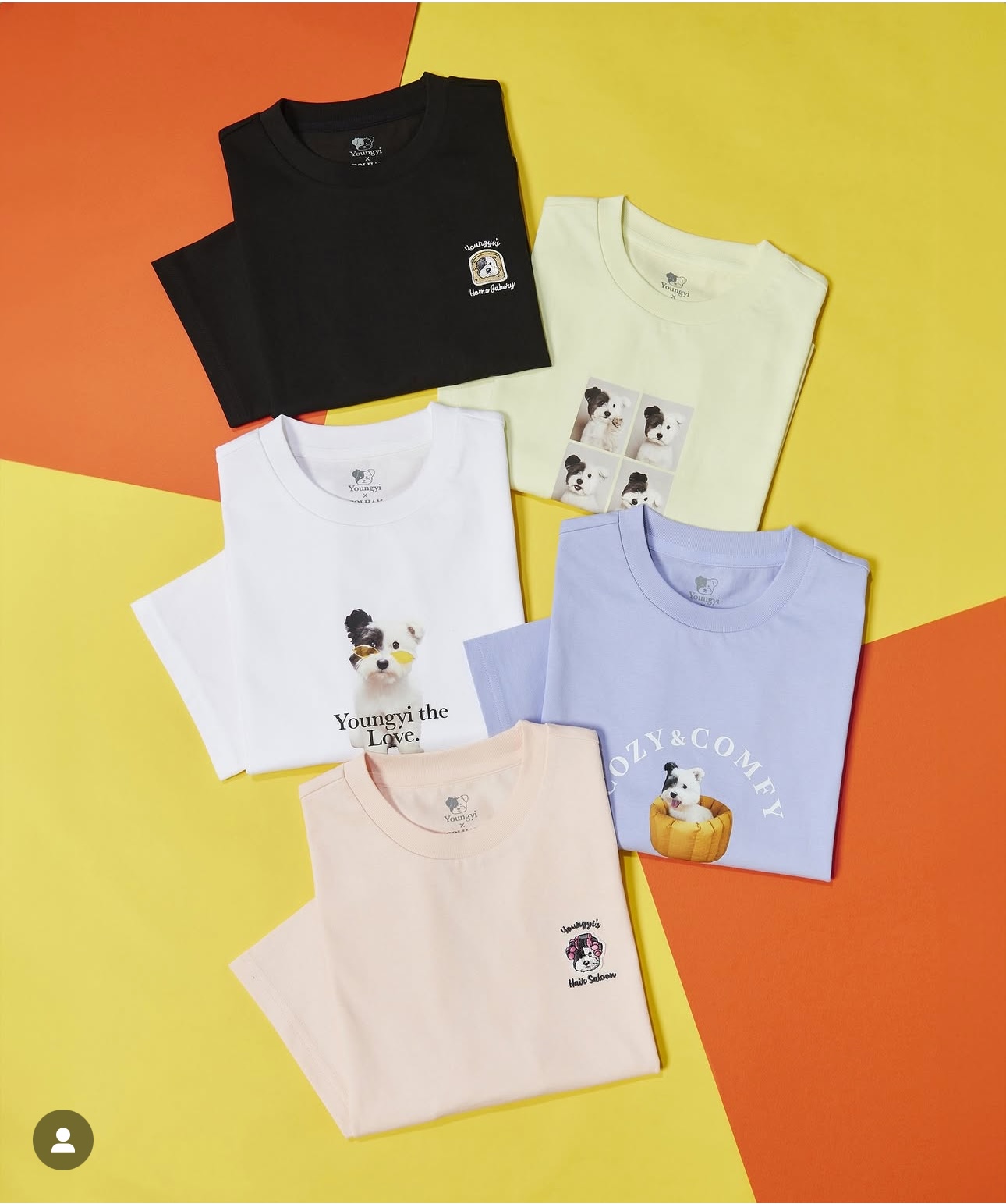 Áo thun dáng ngắn Polham xuất Hàn cho bé size 120-170