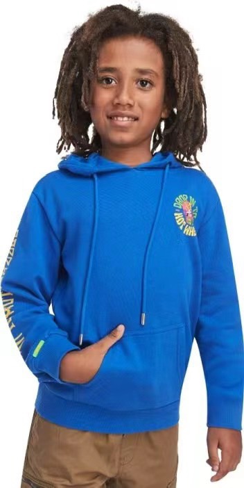 Áo nỉ da cá Hollyland dư xịn nhiều màu cho bé trai size 3-12y