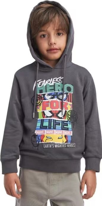 Áo nỉ da cá Hollyland dư xịn nhiều màu cho bé trai size 3-12y