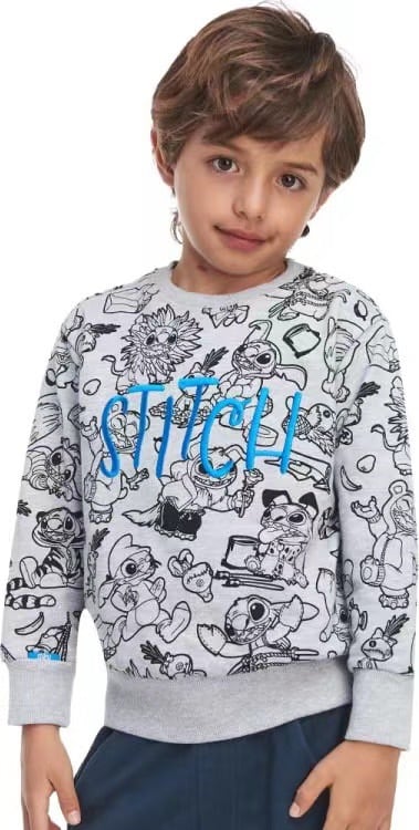 Áo nỉ da cá Hollyland dư xịn nhiều màu cho bé trai size 3-12y