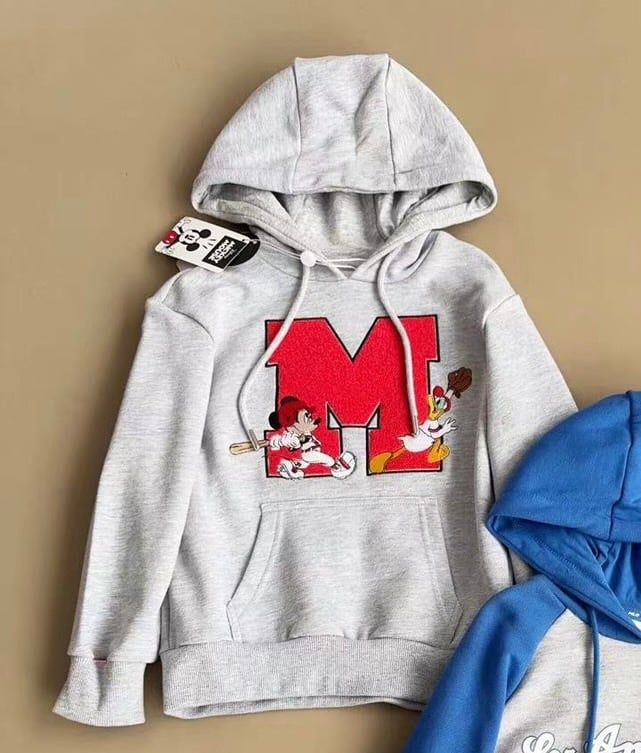 Áo nỉ da cá Hollyland dư xịn nhiều màu cho bé trai size 3-12y