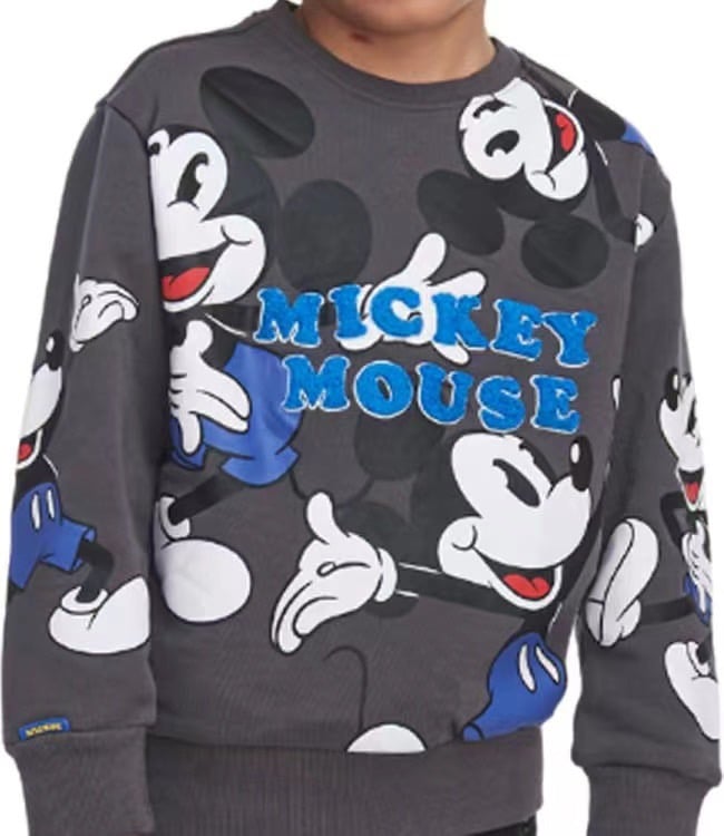 Áo nỉ da cá Hollyland dư xịn nhiều màu cho bé trai size 3-12y