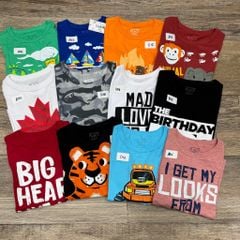 BM6 - Áo cotton cộc tay Place dòng Nhí nhiều mẫu Bé Trai size 12m - 6y