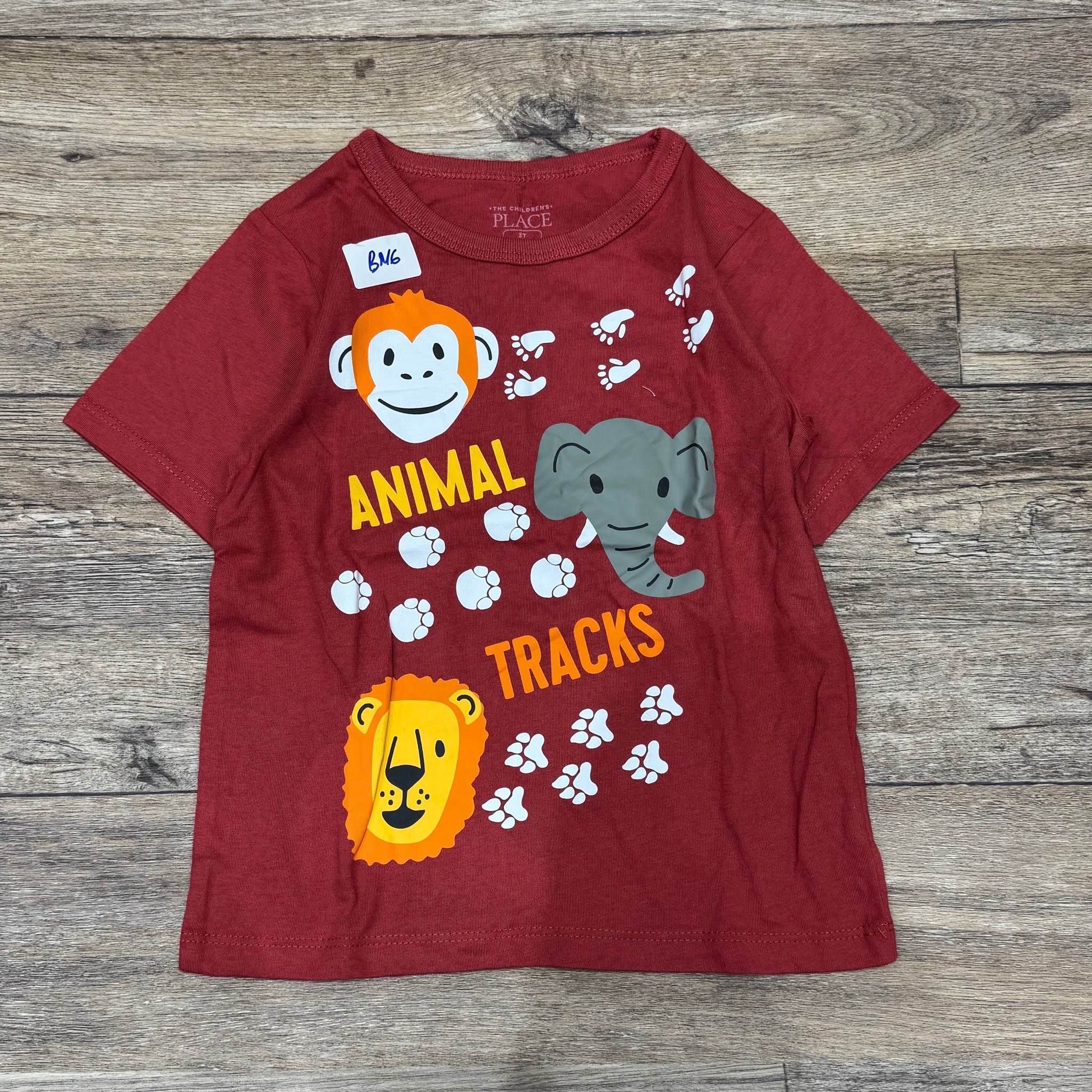 BM6 - Áo cotton cộc tay Place dòng Nhí nhiều mẫu Bé Trai size 12m - 6y