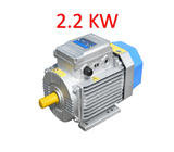  Động cơ điện Motor Toàn phát 3 HP - 2.2 KW - 2900v 