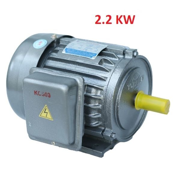  Động cơ điện Motor Jet Toàn phát 3 HP - 2.2 KW - 1450v (Vỏ Gang) 