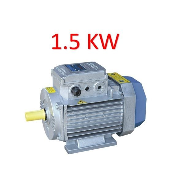  Động cơ điện Motor Toàn phát 2 HP - 1.5 KW - 2900 vòng 