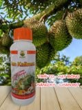  Phân bón hữu cơ Hàn Quốc - Trái to - Hạt bóng - Nặng Ký - Chặn đọt -Sun Kalimax -  500 ml 