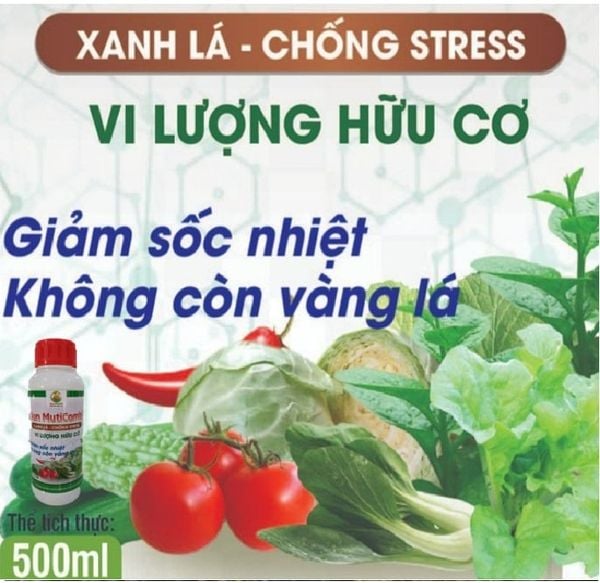  Phân bón hữu cơ Hàn Quốc - Xanh lá - Chống Stress -Sun Muticombi -  500 ml 