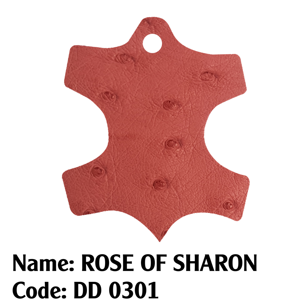 Da đà điểu - 0301