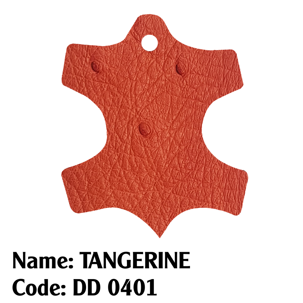 Da đà điểu - 0401