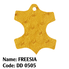 Da đà điểu - 0505