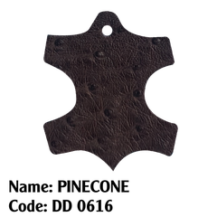 Da đà điểu - 0616