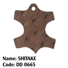 Da đà điểu - 0665