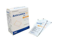 Augclamox 250