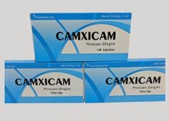 Camxicam