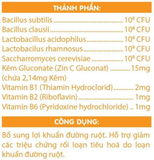 N-Biotech - Bào tử lợi khuẩn Biofamin hộp 30 gói