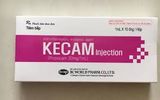 Kecam Tiêm