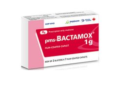 Bactamox 1G