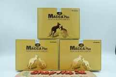 Macca Plus