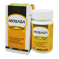 Mosaga