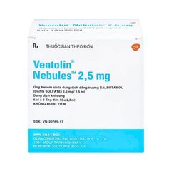 Ventolin Nebules 2.5mg (H/6*5 ống)