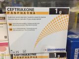 Panpharma 1G(Ceftriaxone 1G)