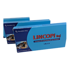 Lincopi
