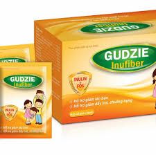 Gudzie Inufiber – Hỗ Trợ Điều Trị Tiêu Hóa