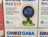 Ginko Gaba Max Q 10