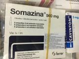 Somazina 500Mg/4Ml