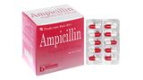 Ampicilline 500mg Brawn ( Hộp 10 vỉ * 10 viên)