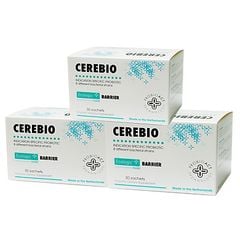 Cerebio