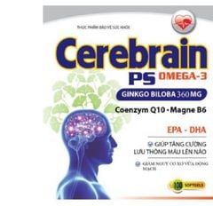 Cerebrain Ps