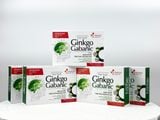 N-Biotech - Hoạt huyết Ginkgo Gabanic hộp 6 vỉ x 10 viên (hộp cứng)